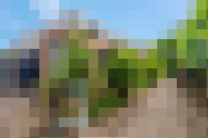 Eikenlaan 13 Rhenen thumbnail 27