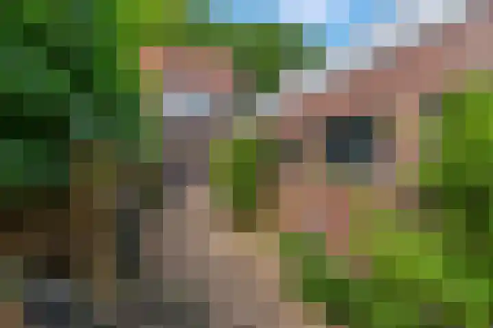 Eikenlaan 13 Rhenen thumbnail 28