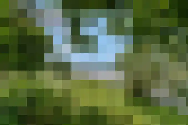 Eikenlaan 13 Rhenen thumbnail 30