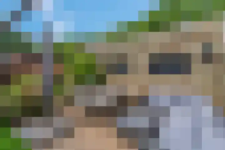 Eikenlaan 13 Rhenen thumbnail 4