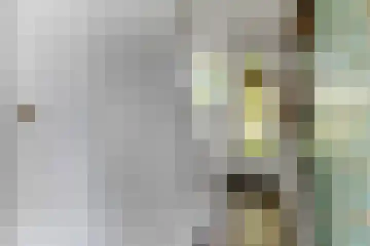 Eikenlaan 13 Rhenen thumbnail 8