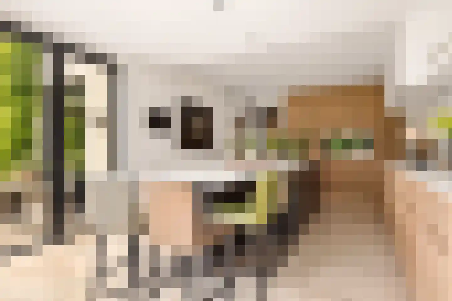 Eikenlaan 13 Sint-Michielsgestel thumbnail 17