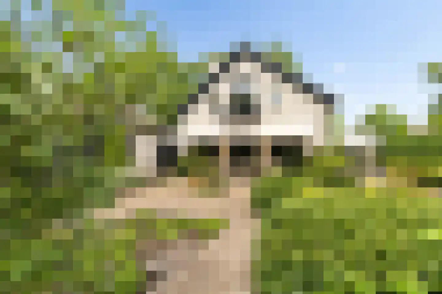 Eikenlaan 13 Sint-Michielsgestel thumbnail 27