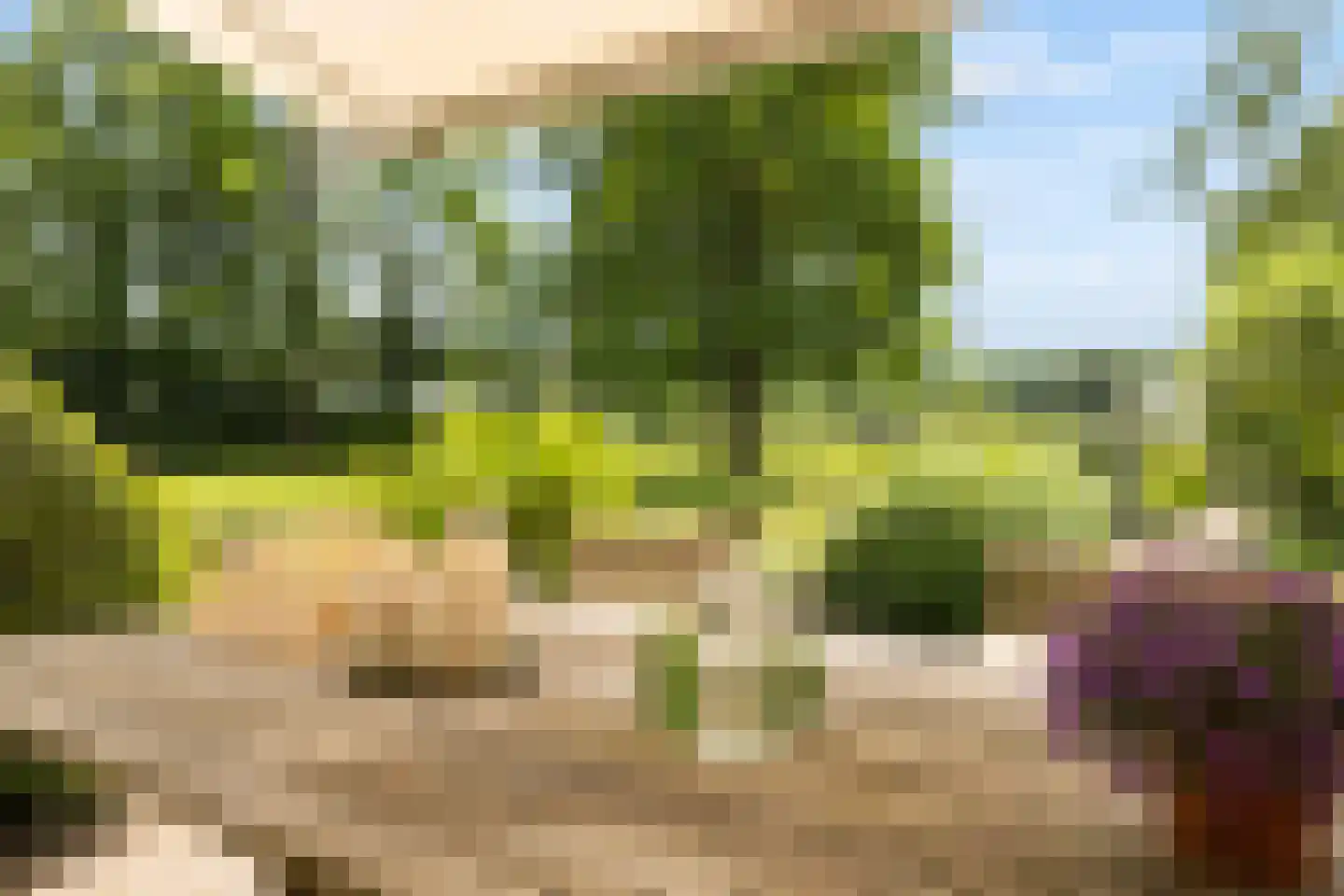 Eikenlaan 13 Sint-Michielsgestel thumbnail 28