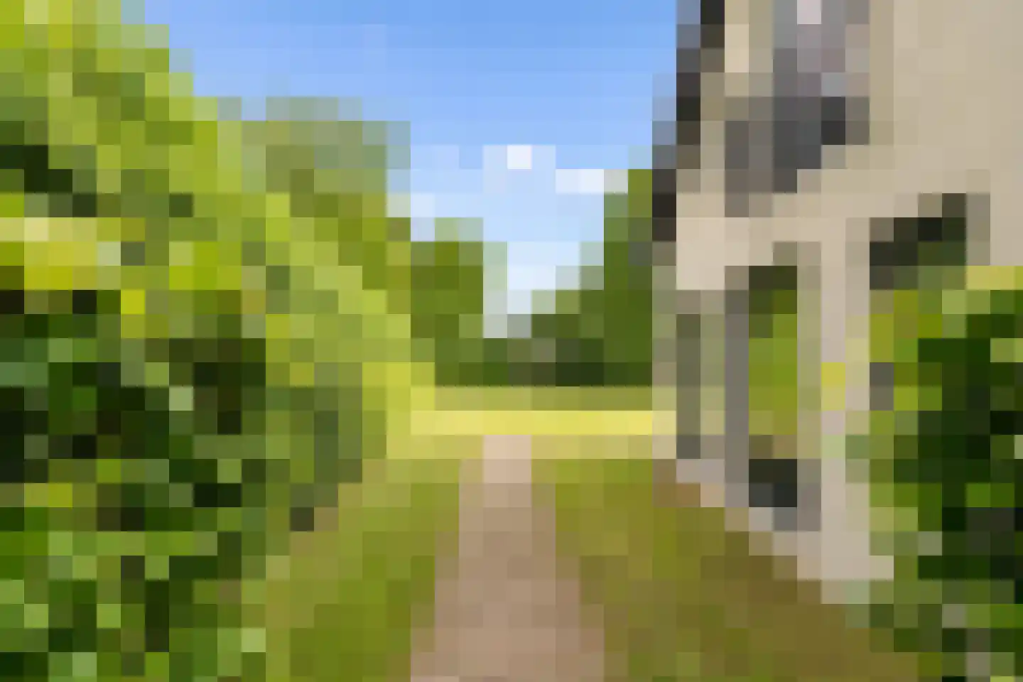 Eikenlaan 13 Sint-Michielsgestel thumbnail 47