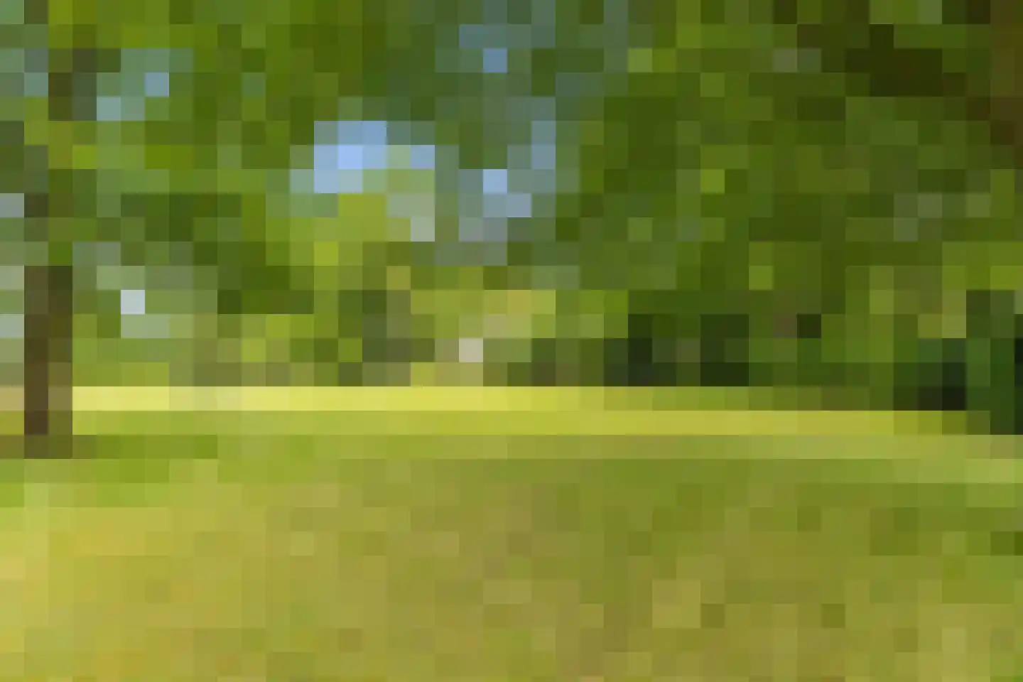 Eikenlaan 13 Sint-Michielsgestel thumbnail 8