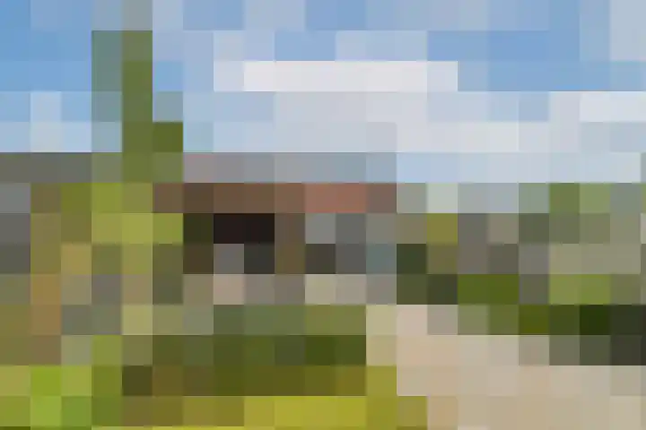 Eikenlaan 138 Dordrecht thumbnail 33