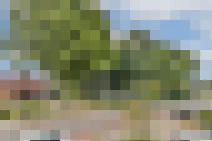 Eikenlaan 138 Dordrecht thumbnail 36