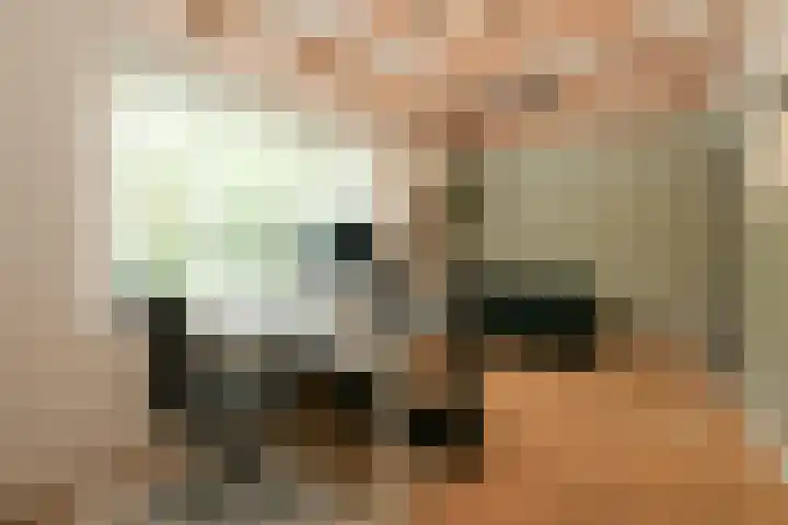 Eikenlaan 14 A Wassenaar thumbnail 15