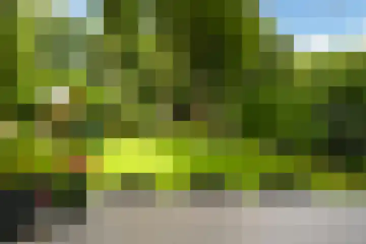 Eikenlaan 14 A Wassenaar thumbnail 17