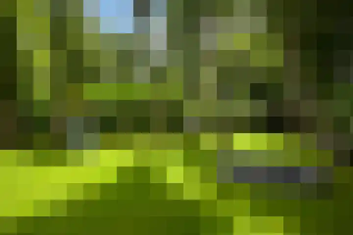 Eikenlaan 14 A Wassenaar thumbnail 18