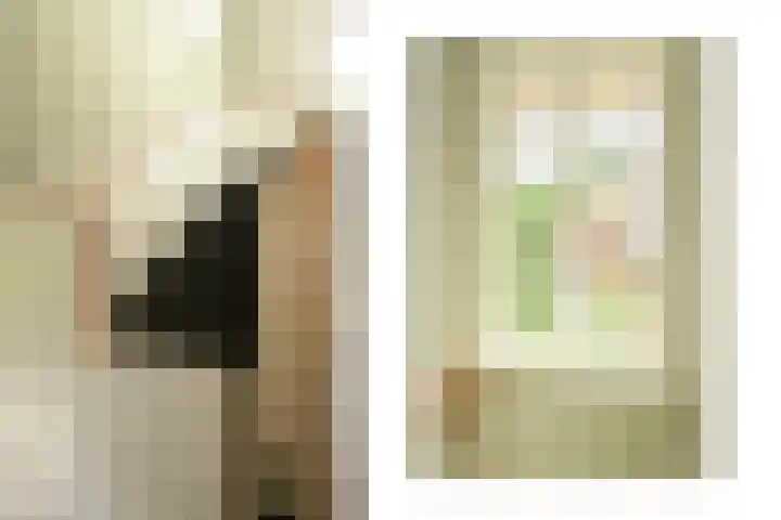 Eikenlaan 14 A Wassenaar thumbnail 20