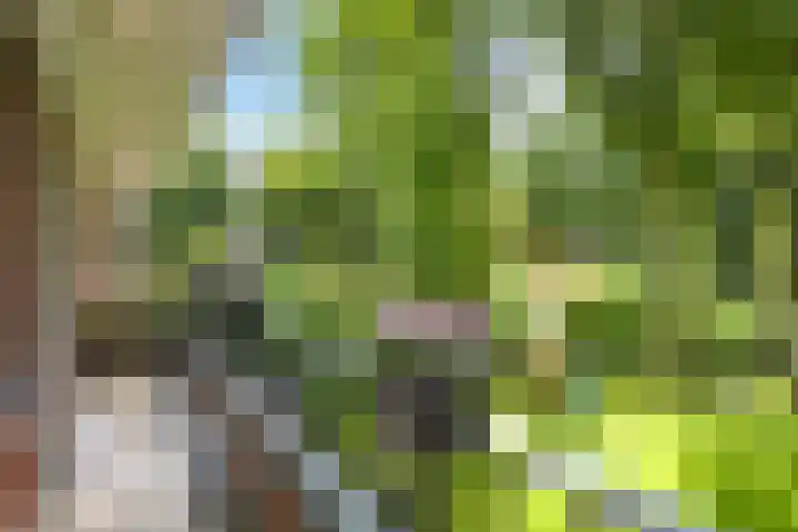 Eikenlaan 14 A Wassenaar thumbnail 24