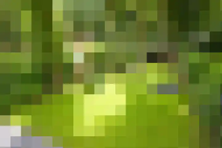 Eikenlaan 14 A Wassenaar thumbnail 25