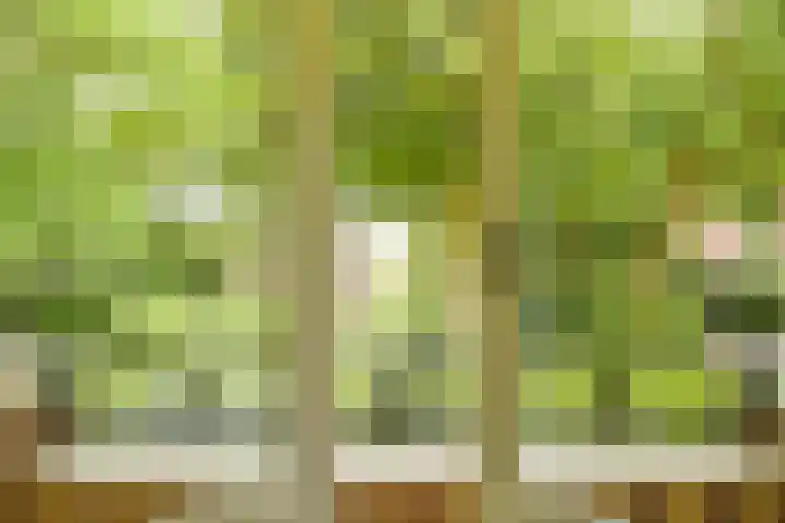 Eikenlaan 14 A Wassenaar thumbnail 32