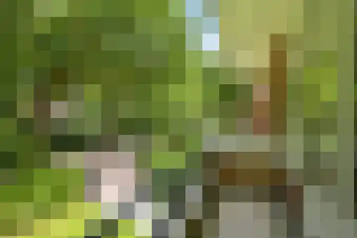Eikenlaan 14 A Wassenaar thumbnail 33