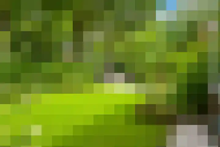 Eikenlaan 14 A Wassenaar thumbnail 45