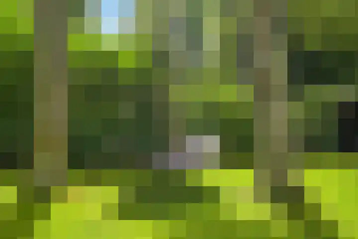 Eikenlaan 14 A Wassenaar thumbnail 46