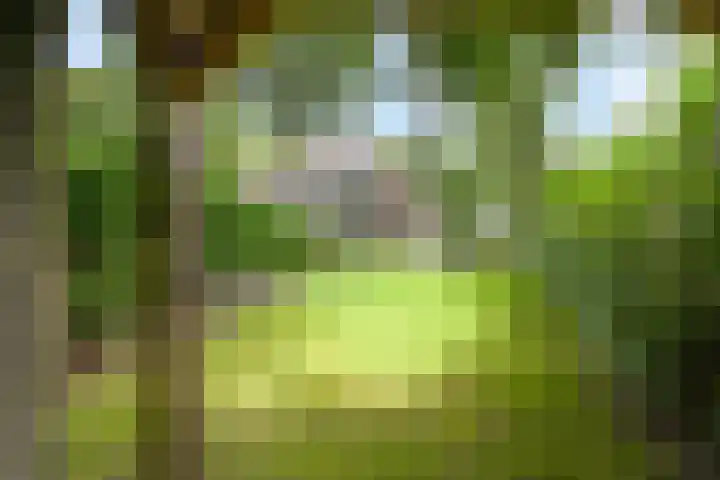 Eikenlaan 14 A Wassenaar thumbnail 47