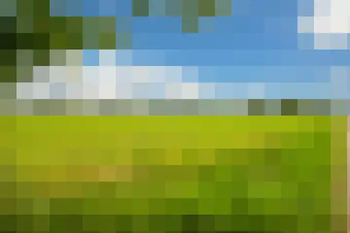 Eikenlaan 14 A Wassenaar thumbnail 48