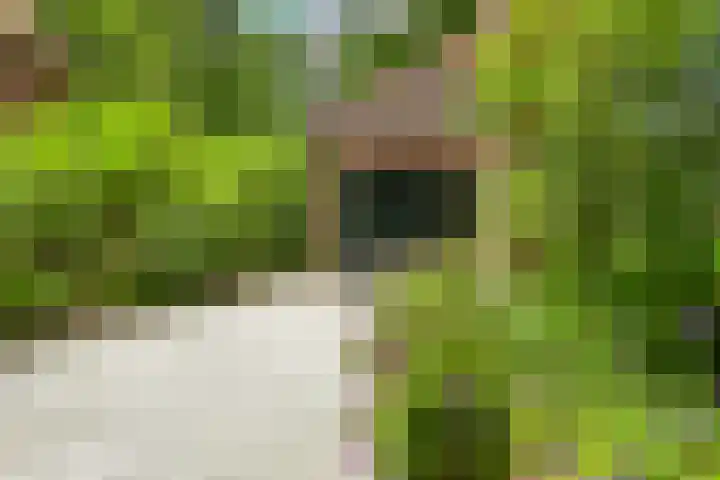 Eikenlaan 14 A Wassenaar thumbnail 49