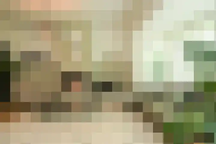 Eikenlaan 14 A Wassenaar thumbnail 8