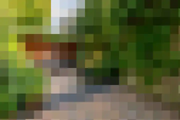 Eikenlaan 14 Doorn thumbnail 25