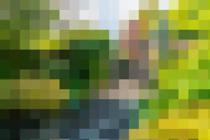 Eikenlaan 14 Doorn thumbnail 30