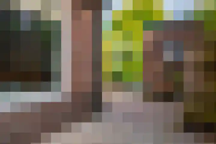 Eikenlaan 14 Doorn thumbnail 31