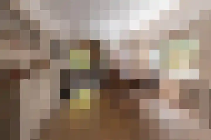 Eikenlaan 14 Doorn thumbnail 8