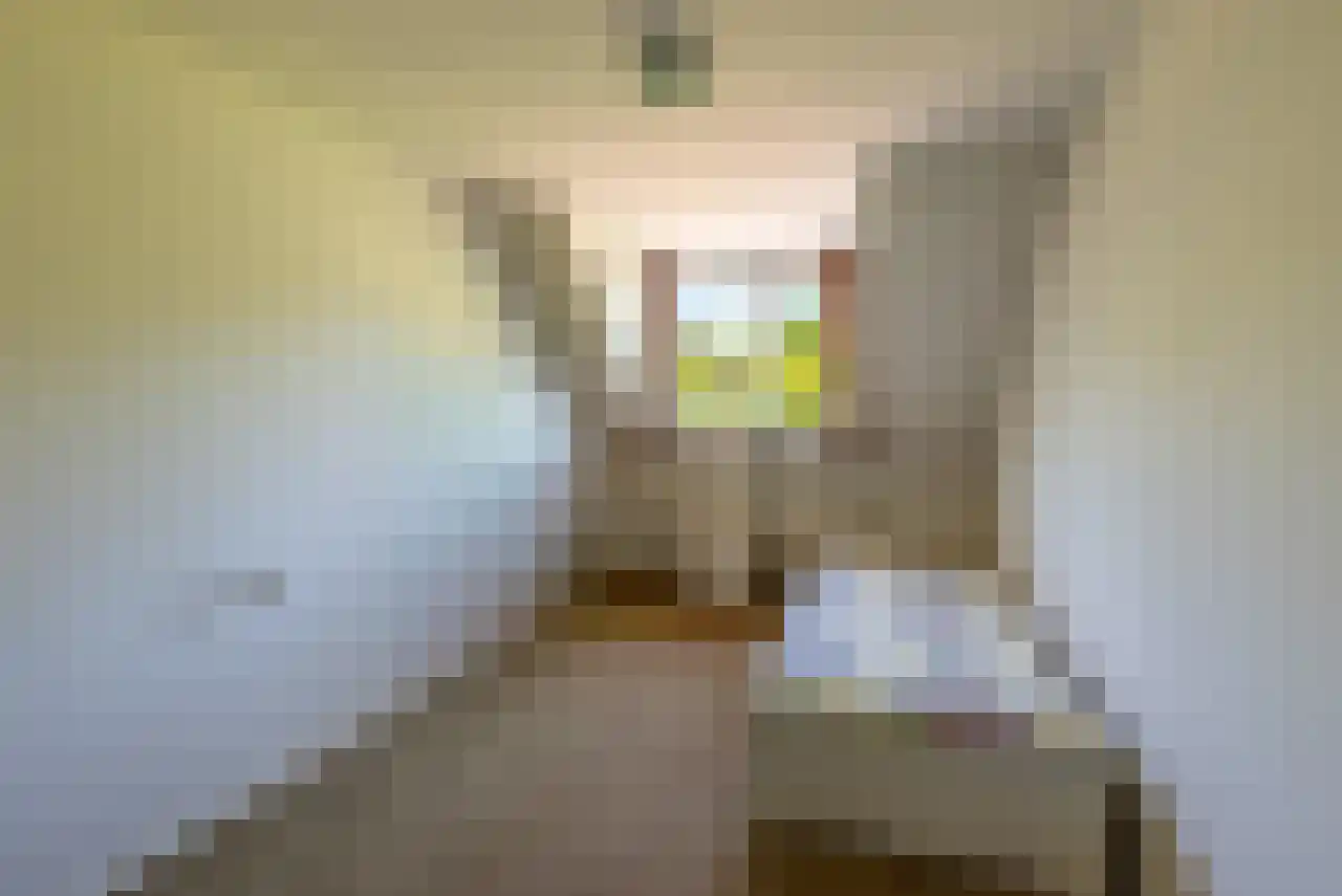 Eikenlaan 14 Heerde thumbnail 16