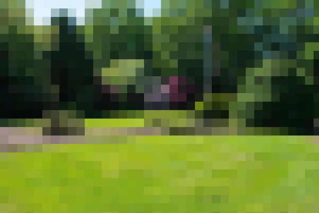 Eikenlaan 14 Heerde thumbnail 38