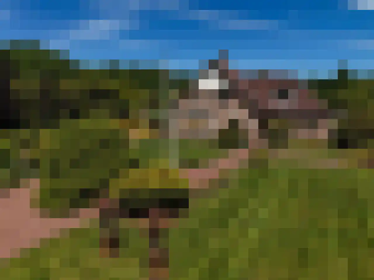 Eikenlaan 14 Heerde thumbnail 39