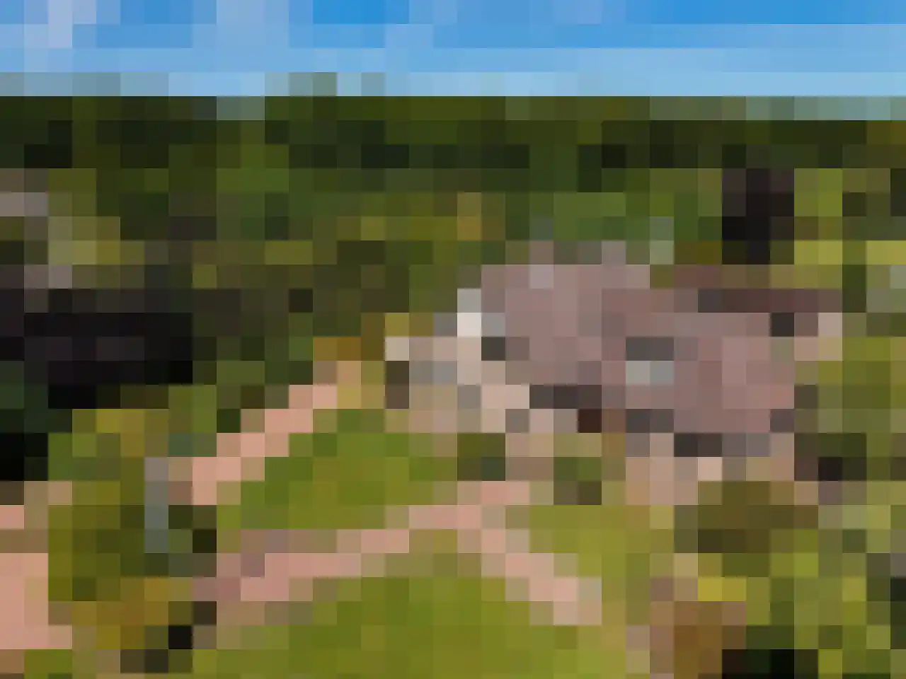 Eikenlaan 14 Heerde thumbnail 41