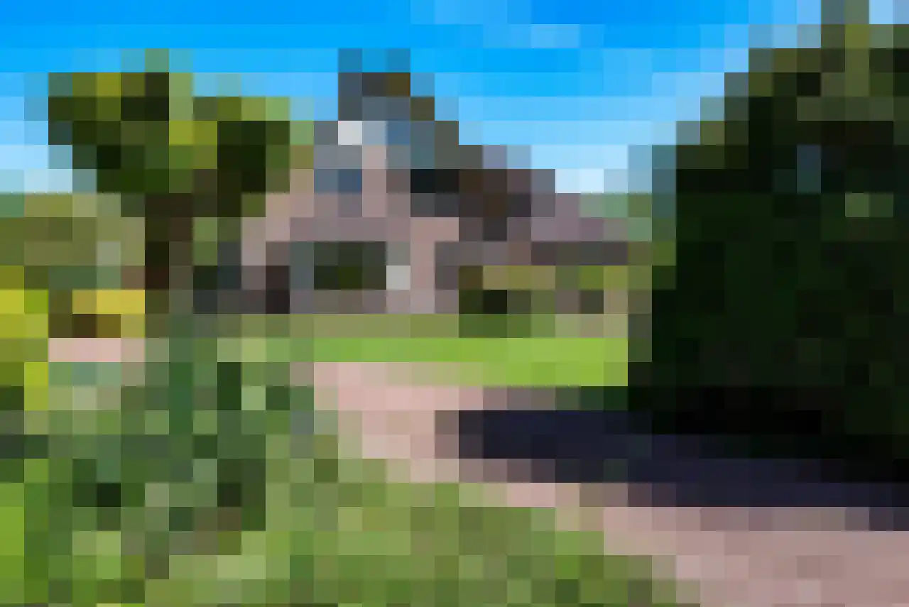 Eikenlaan 14 Heerde thumbnail 42