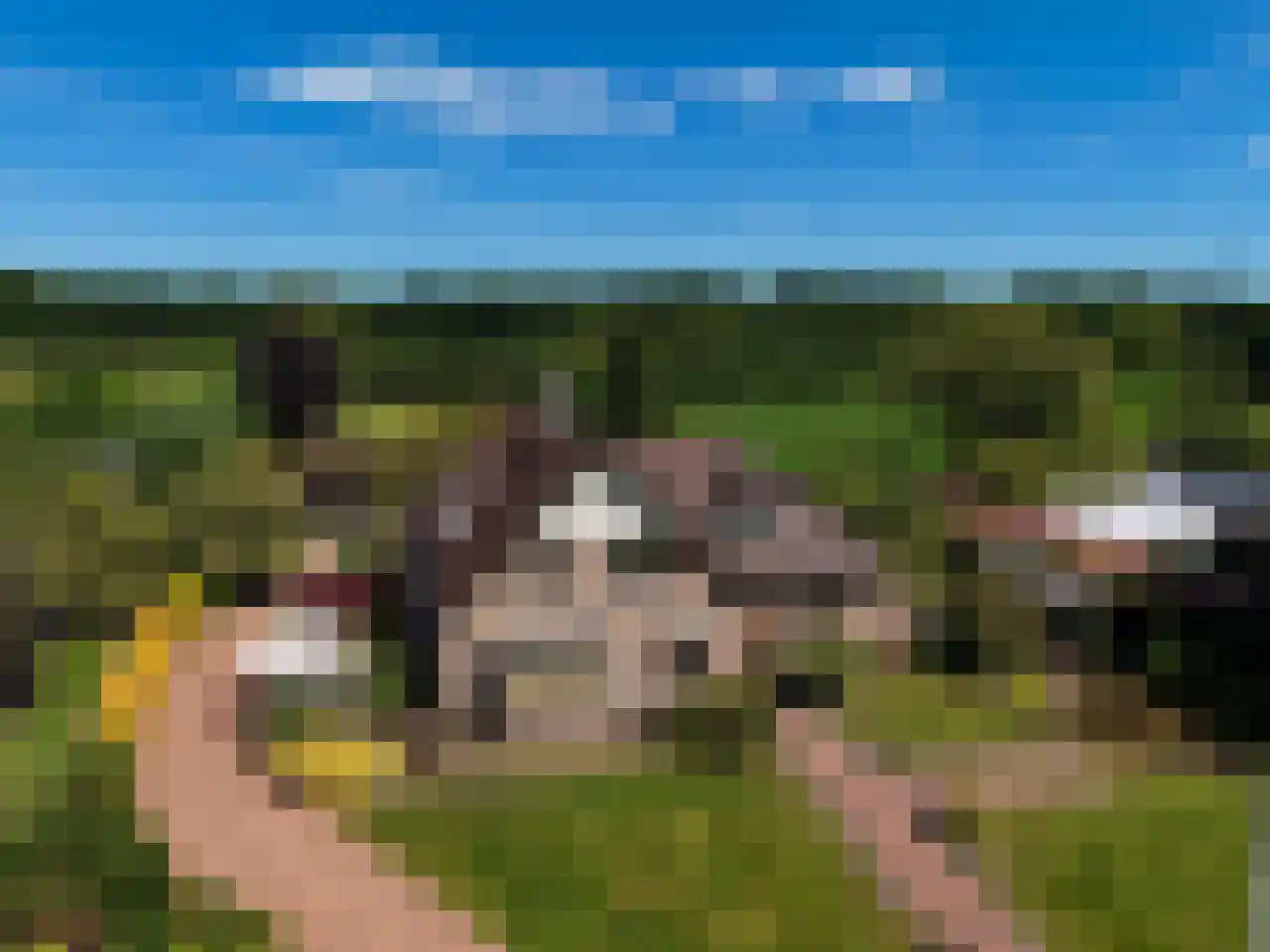 Eikenlaan 14 Heerde thumbnail 45
