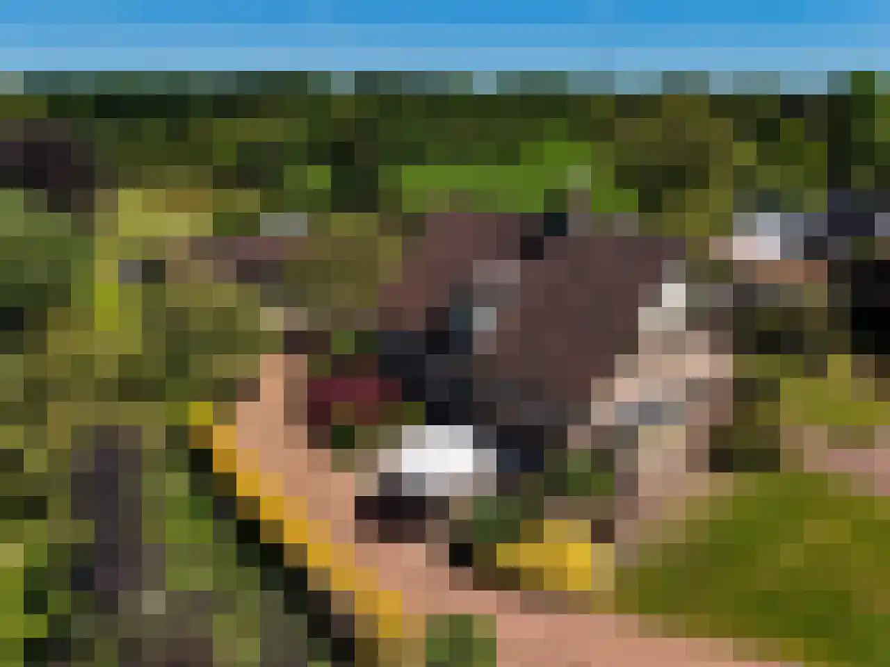 Eikenlaan 14 Heerde thumbnail 46