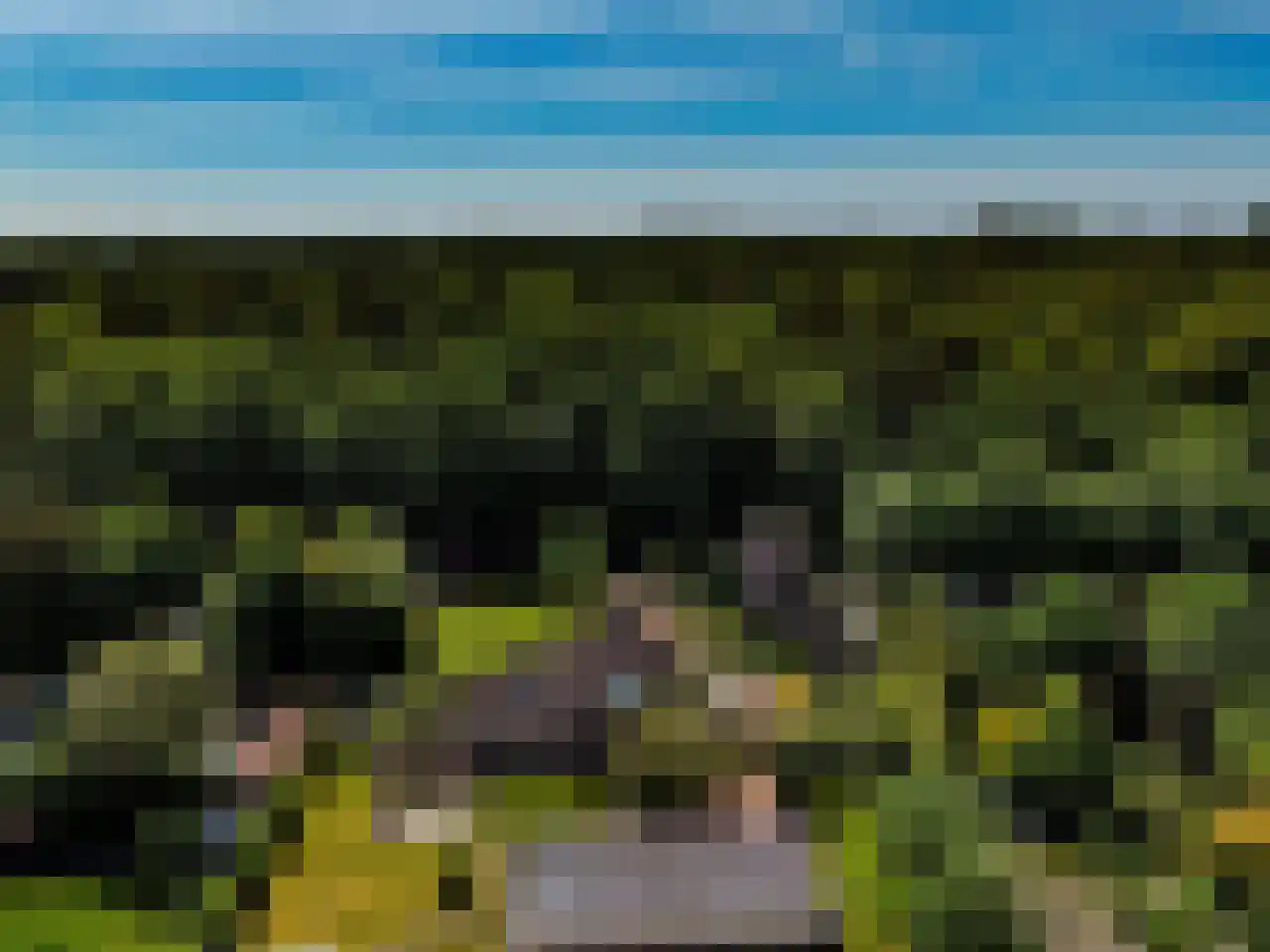 Eikenlaan 14 Heerde thumbnail 47