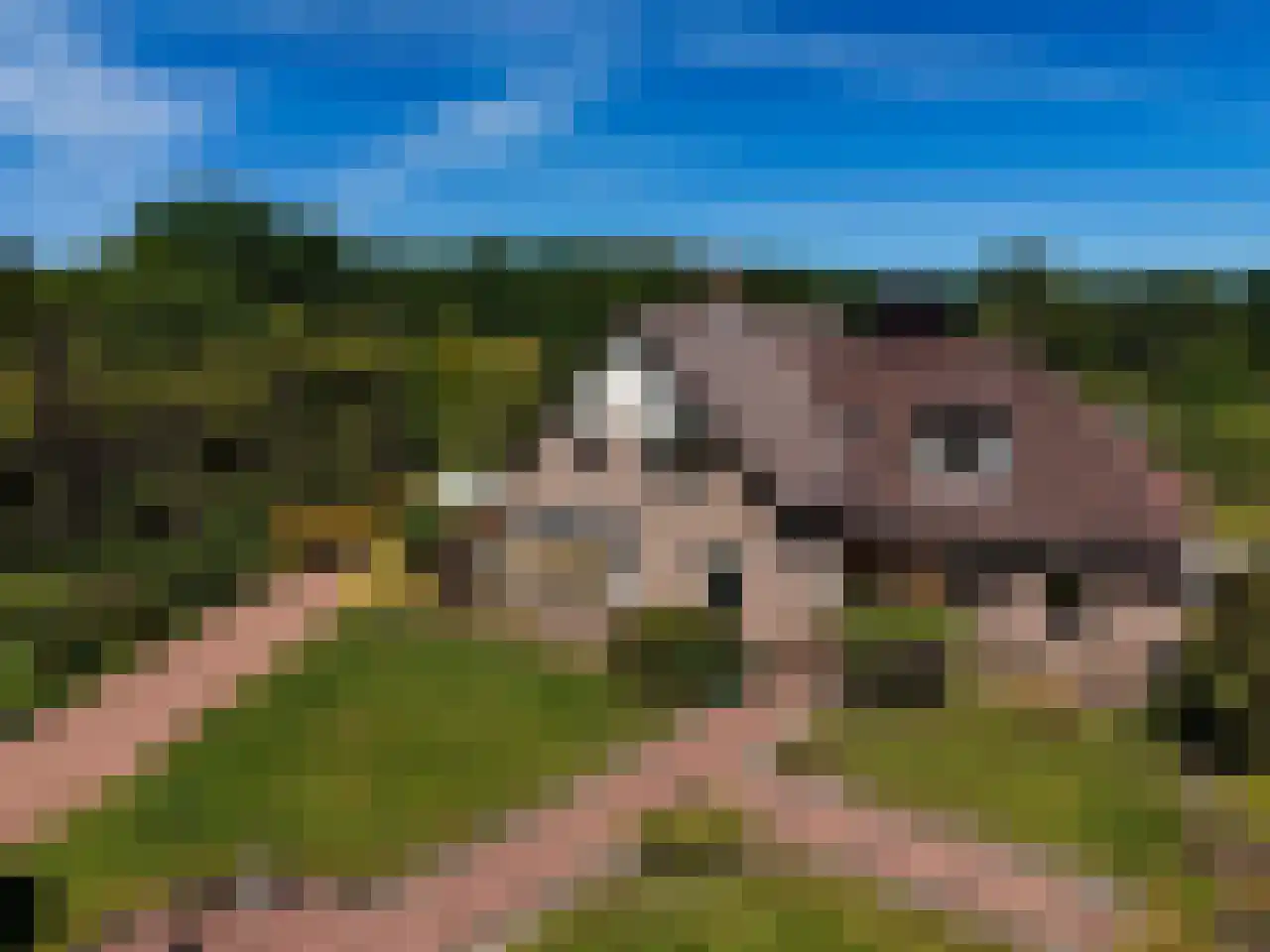 Eikenlaan 14 Heerde thumbnail 49