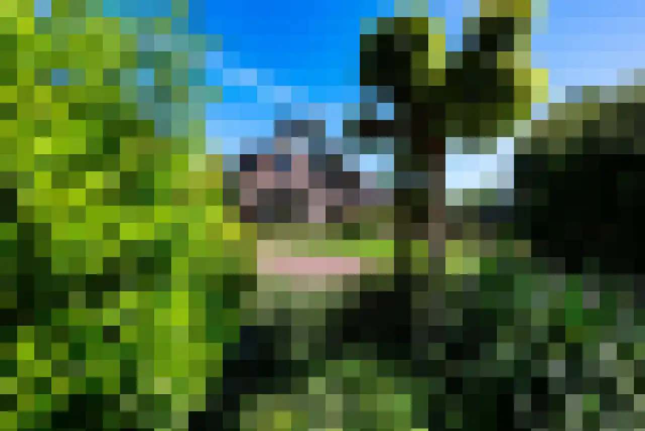 Eikenlaan 14 Heerde thumbnail 50