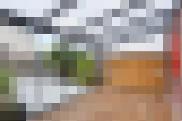 Eikenlaan 14 Rozenburg thumbnail 18