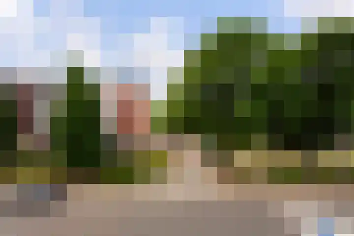 Eikenlaan 14 Rozenburg thumbnail 42