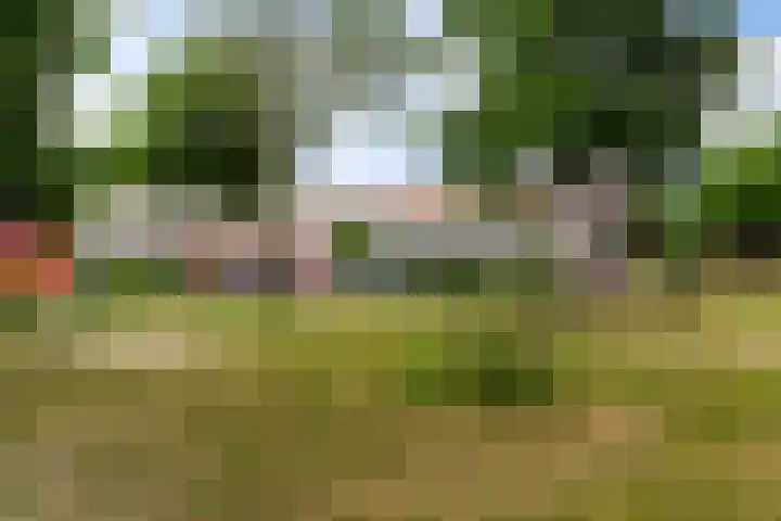 Eikenlaan 14 Rozenburg thumbnail 47