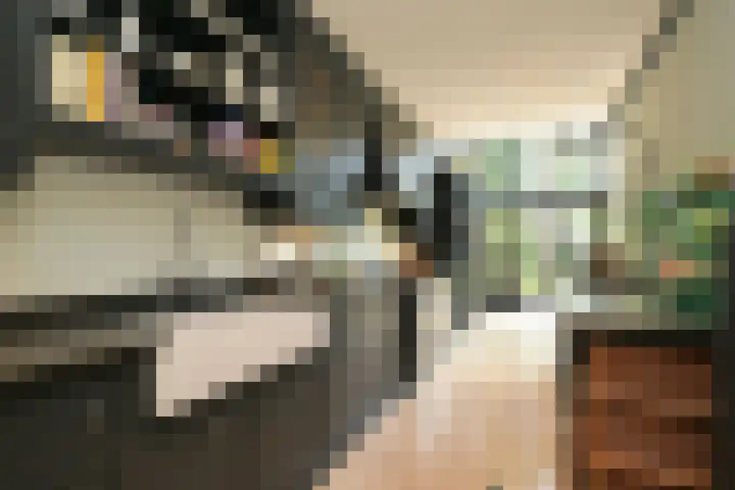 Eikenlaan 14 Wassenaar thumbnail 18