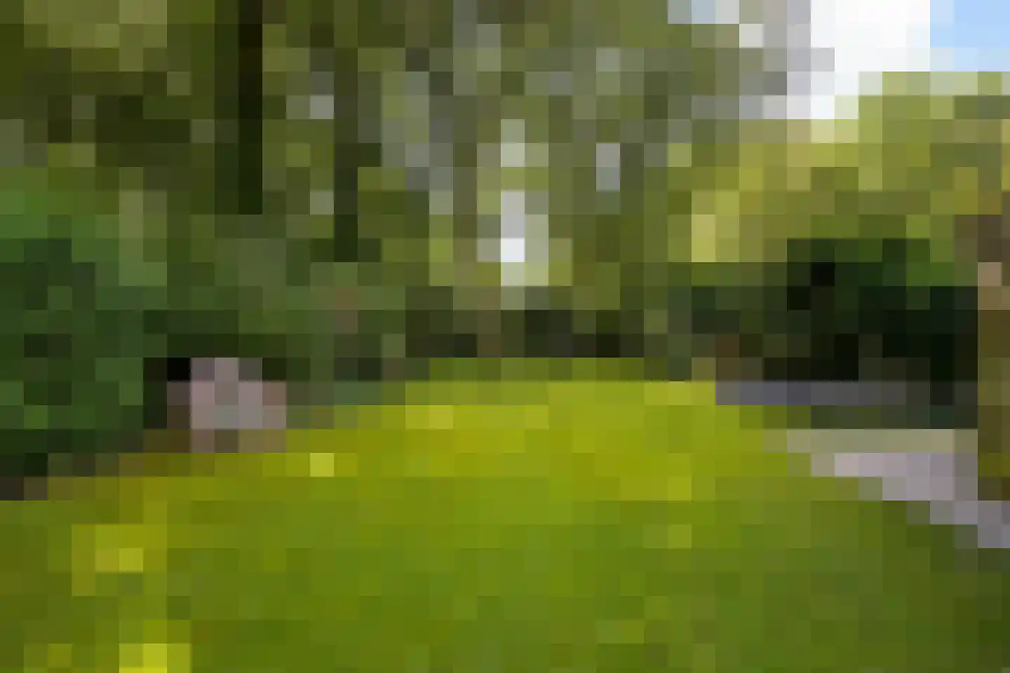 Eikenlaan 14 Wassenaar thumbnail 21