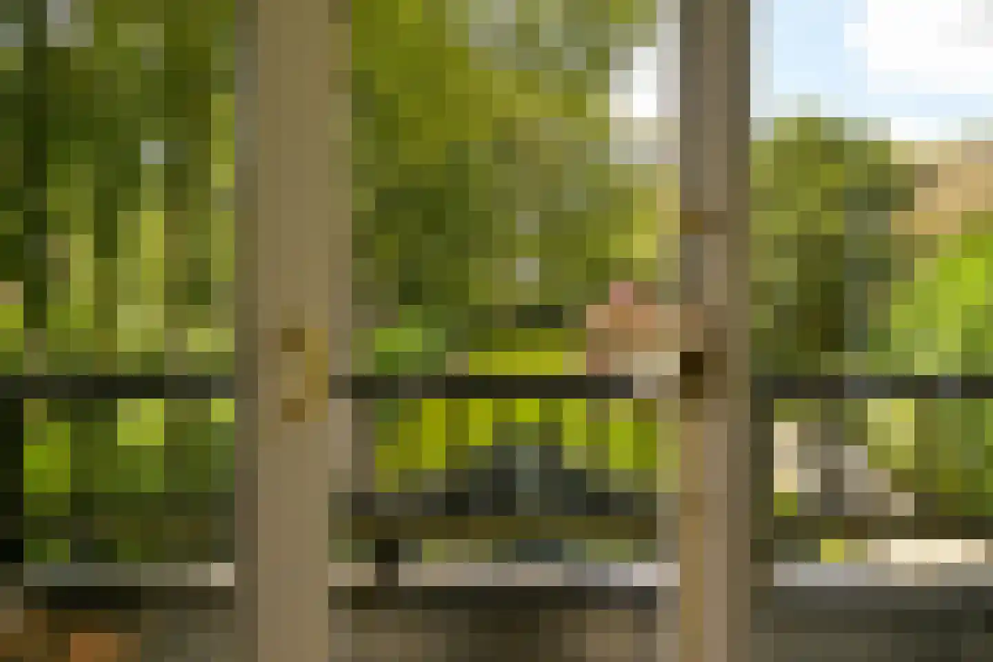 Eikenlaan 14 Wassenaar thumbnail 28