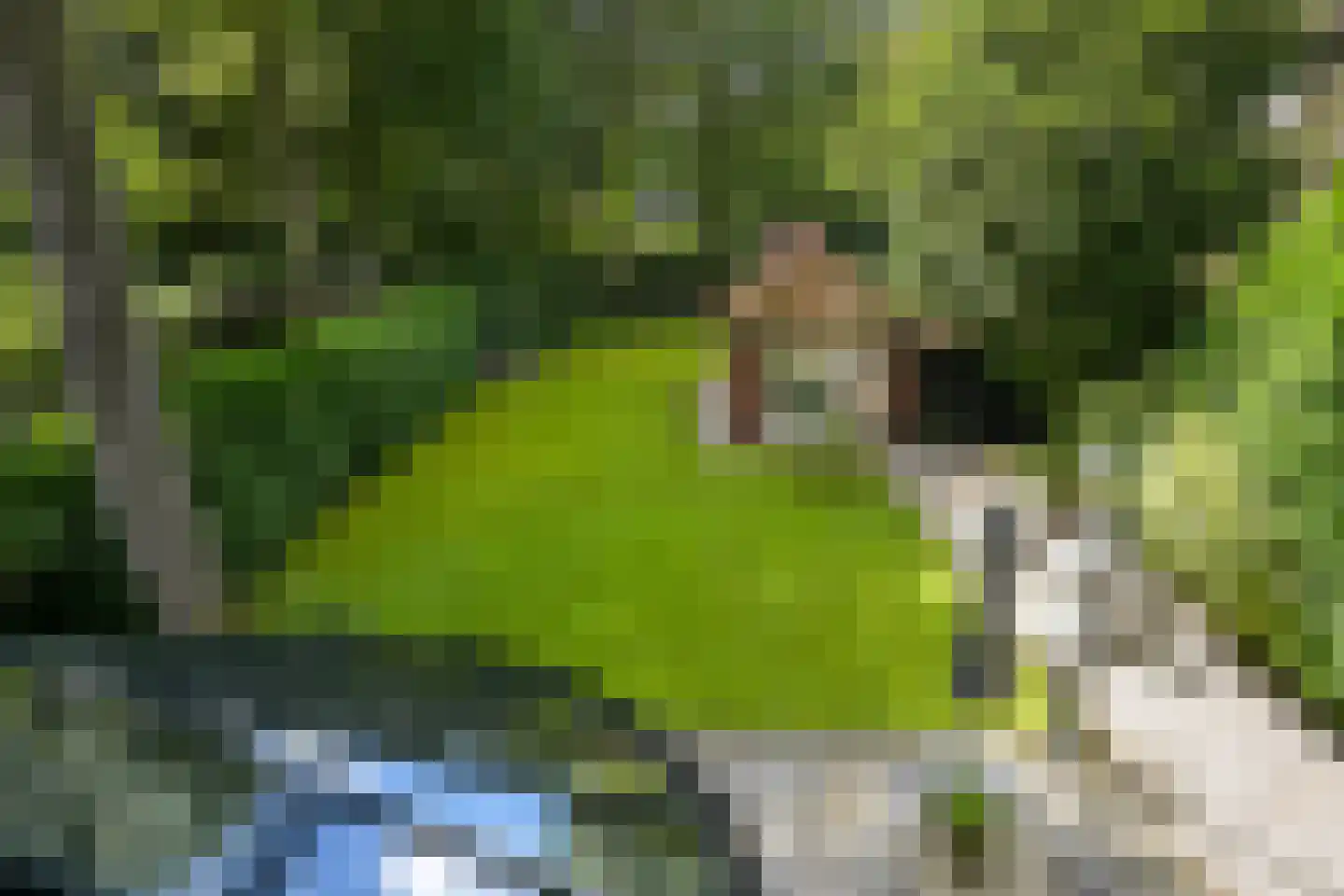 Eikenlaan 14 Wassenaar thumbnail 29