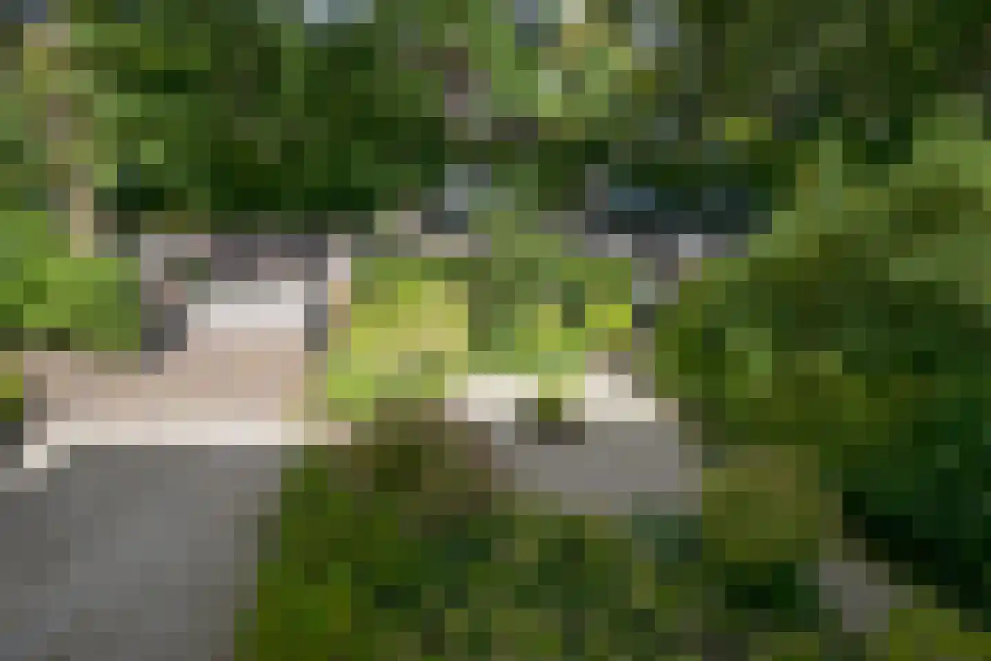 Eikenlaan 14 Wassenaar thumbnail 34
