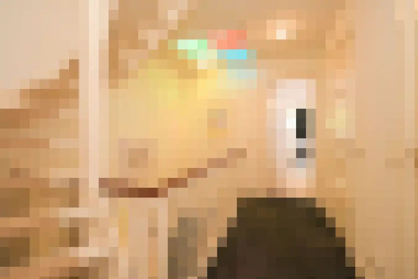 Eikenlaan 14 Wassenaar thumbnail 36