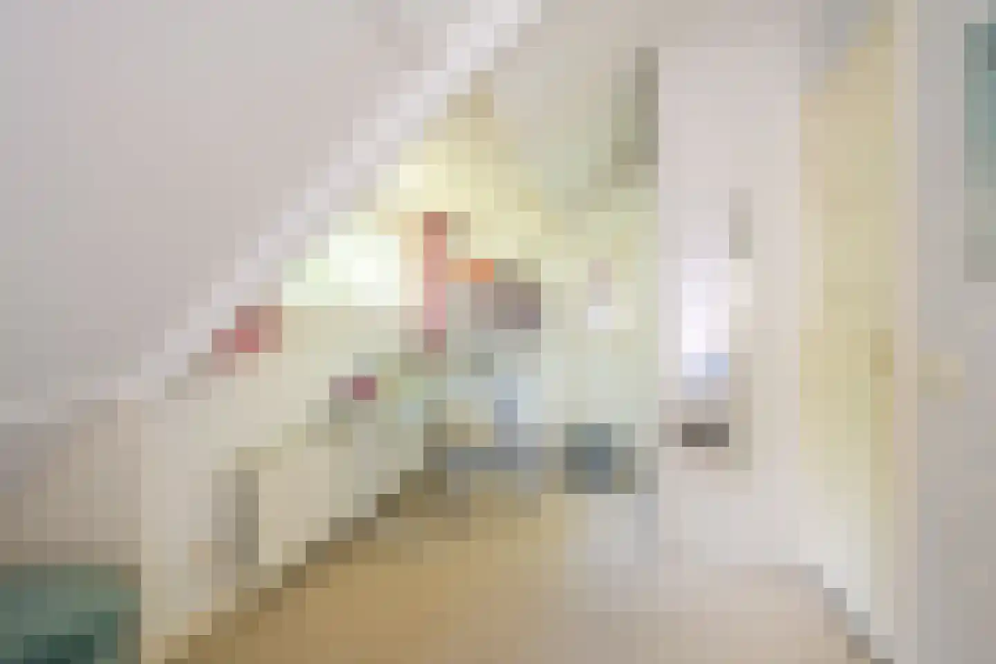 Eikenlaan 14 Wassenaar thumbnail 38